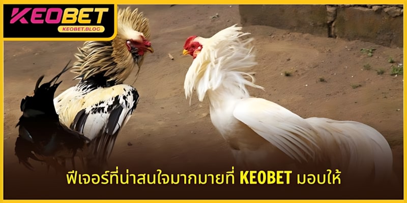 คุณสมบัติที่น่าสนใจหลายอย่างที่ KEOBET มอบให้