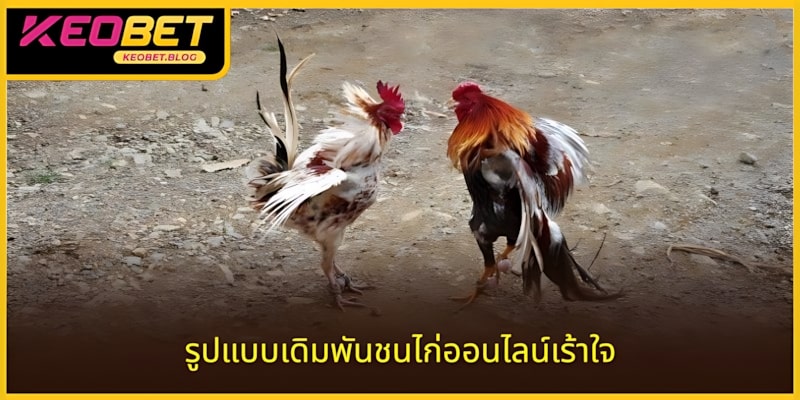 รูปแบบการเดิมพันไก่ชนออการเดิมพันไก่ชนออนไลน์ที่น่าเชื่อถือ
