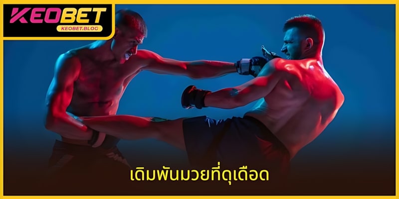 ติดตามการแข่งขันมวยอย่างใกล้ชิดเพื่อวิเคราะห์ได้แม่นยำ