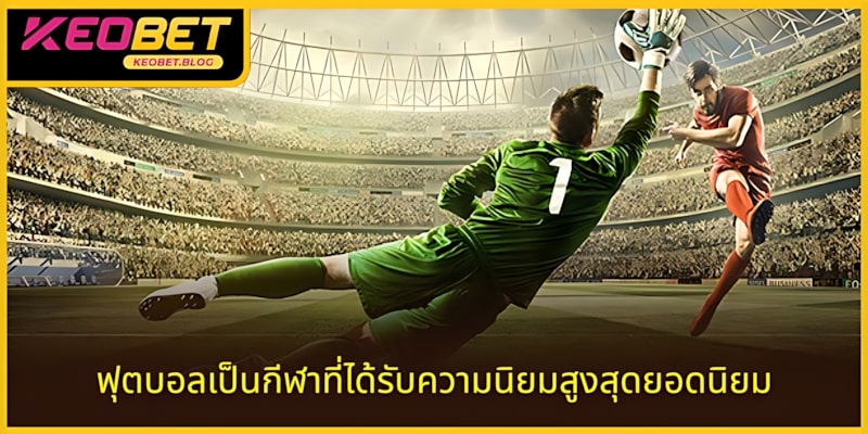 ฟุตบอลอยู่ในอันดับต้น ๆ ของกีฬายอดนิยมที่สุด