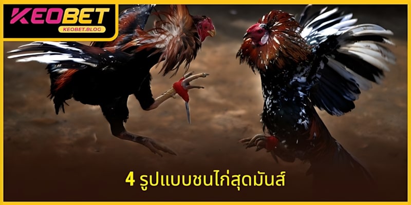 สัมผัส 4 รูปแบบแมทช์สุดตื่นเต้น