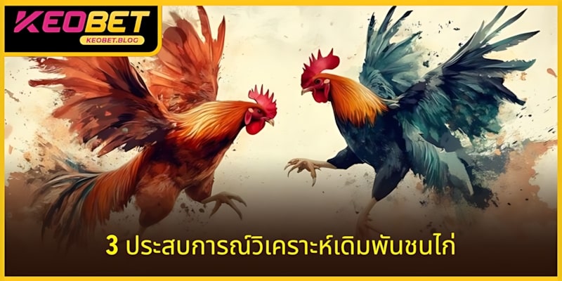 ใช้ 3 ประสบการณ์จากผู้เชี่ยวชาญเพื่อชนะใหญ่ทุกวัน