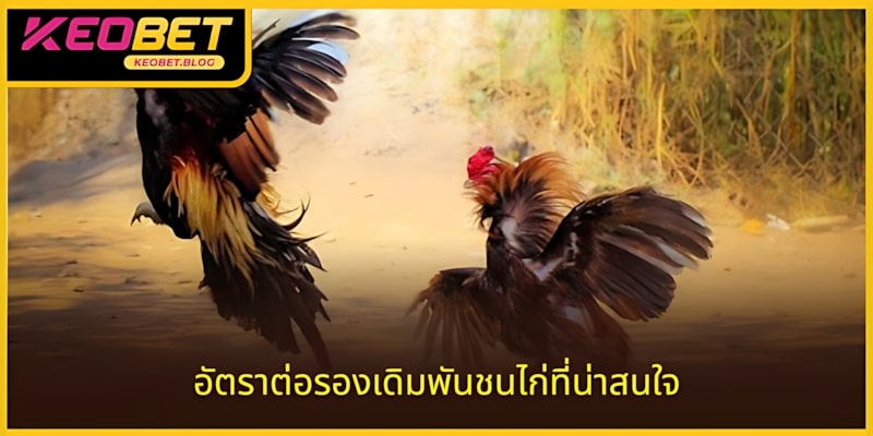 เดิมพันที่น่าดึงดูดใจด้วยประตูหลากหลายในประสบการณ์