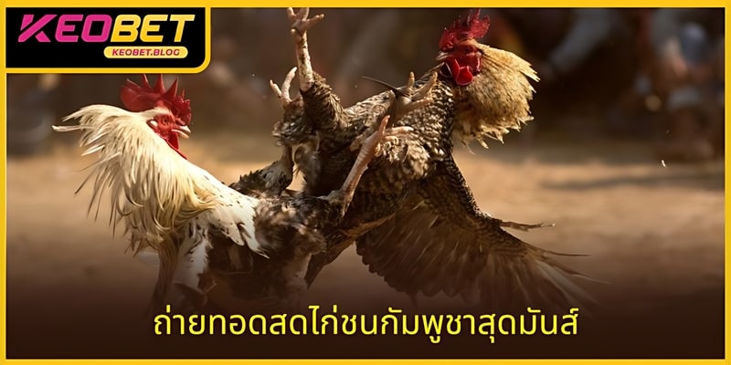 รูปแบบที่ช่วยยกระดับคุณภาพความปลอดภัยของข้อมูลทั้งหมด