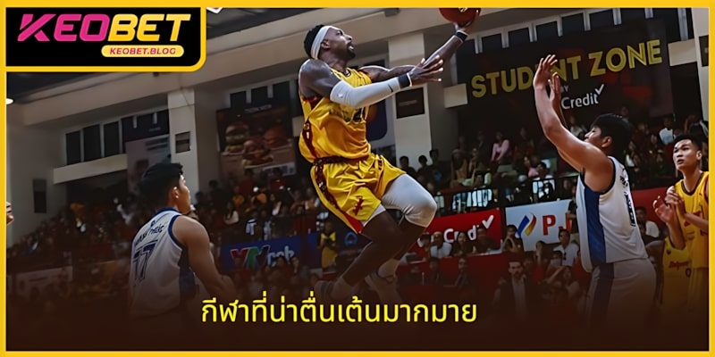 มีกีฬามันส์ให้เลือกมากมายที่เว็บนี้