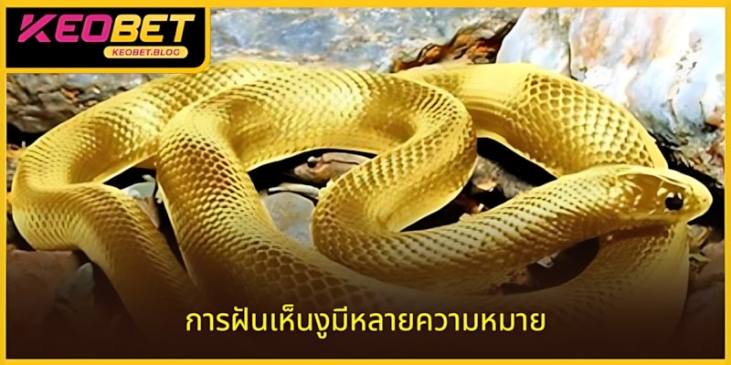 ฝันเห็นงูควรแทงเลขอะไรพร้อมข้อความสื่อหลายความหมาย