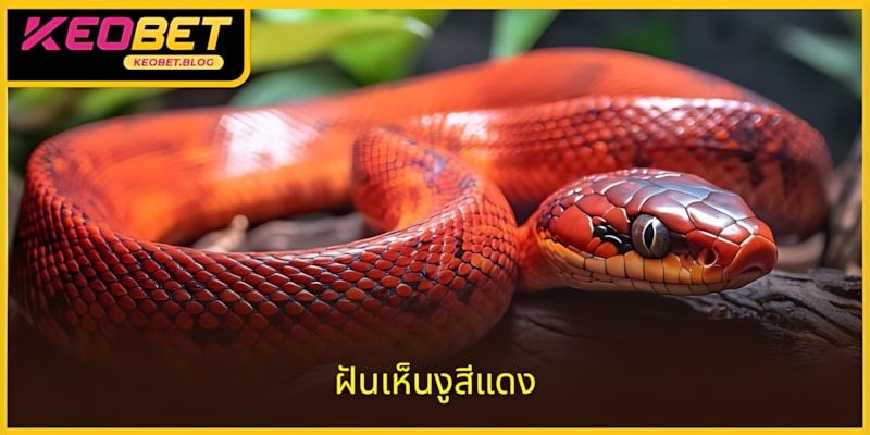 พิจารณาฝันเห็นงูควรแทงเลขอะไรตามสี