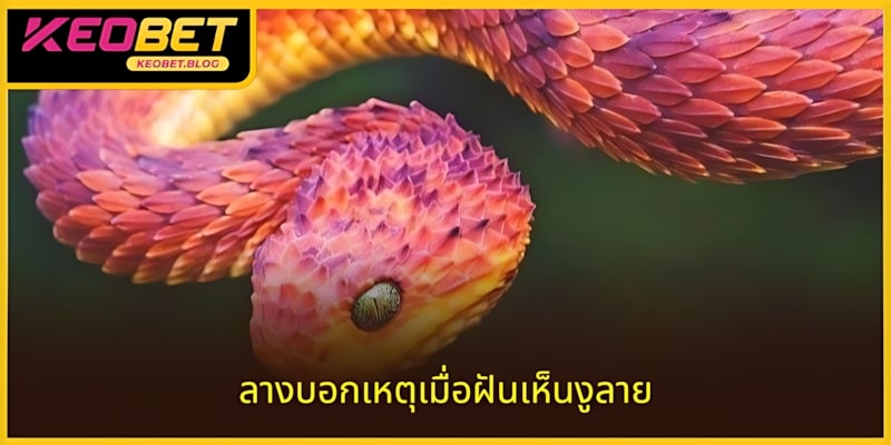 ผู้เล่นควรระมัดระวังต่อสัญญาณเมื่อเห็นงู