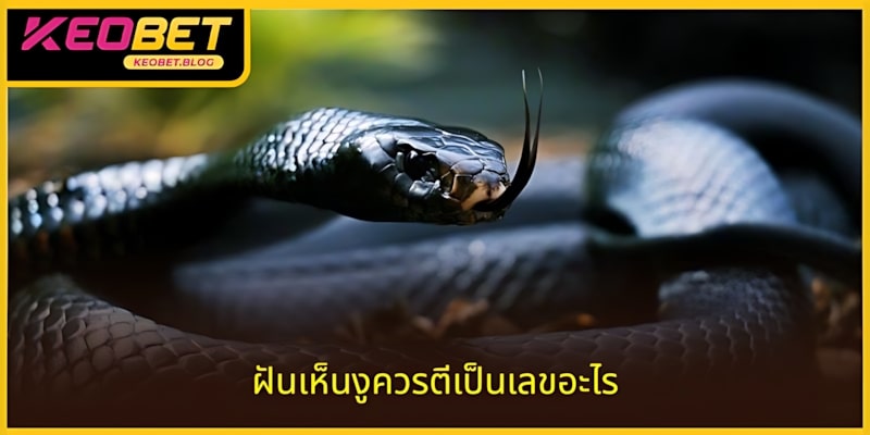 ไขข้อสงสัย: ฝันเห็นงูควรแทงเลขอะไรถึงจะชนะง่ายที่สุด?