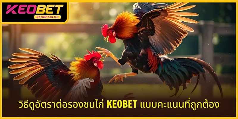 วิธีดูราคาต่อรองไก่ชน KEOBET แบบทายสกอร์มีประโยชน์สูง