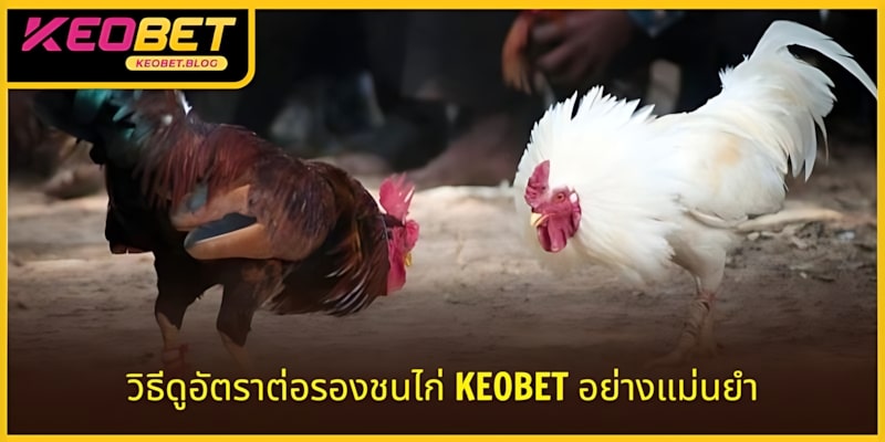 วิธีดูราคาต่อรองไก่ชน KEOBET อย่างถูกต้องเมื่อคำนวณผลกำไร