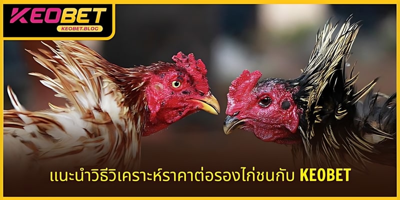 การวิเคราะห์การชนไก่ KEOBET เป็นวิธีการเล่นที่มีประสิทธิภาพ