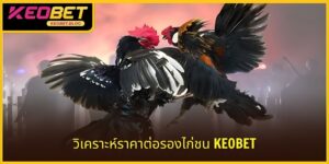 การวิเคราะห์การชนไก่ KEOBET แม่นยำสูง ชนะเดิมพันไว 2025