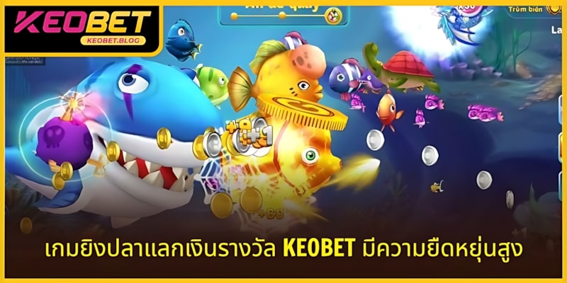 เกมยิงปลาแลกบัตรเติมเงินด่วน KEOBET ยืดหยุ่นเต็มรูปแบบ