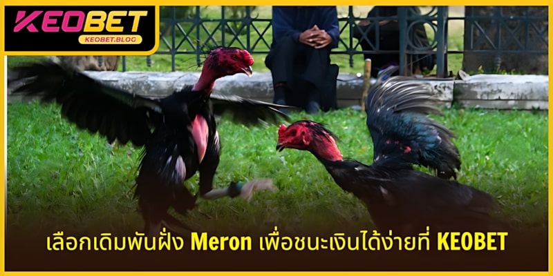 เลือกเดิมพันที่ Meron เพื่อชนะง่าย ๆ ที่ KEOBET